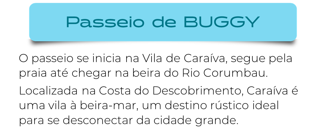 Jonga Buggy Caraíva - Passeio Caraíva (3).png