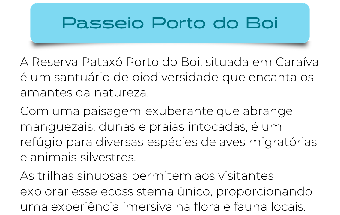 Jonga Buggy Caraíva - Passeio Caraíva (5).png